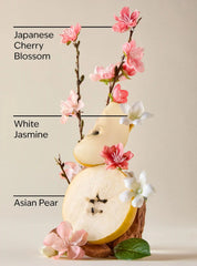 Japanese Cherry Blossom